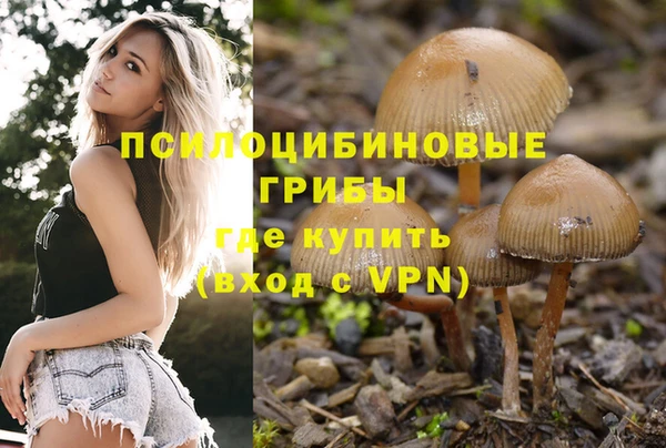 mdpv Инта